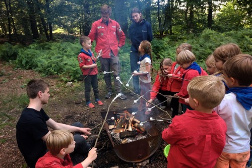 Marshmallows bakken op vuur