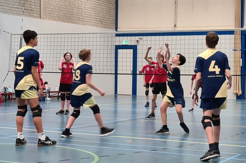 Volley Stars