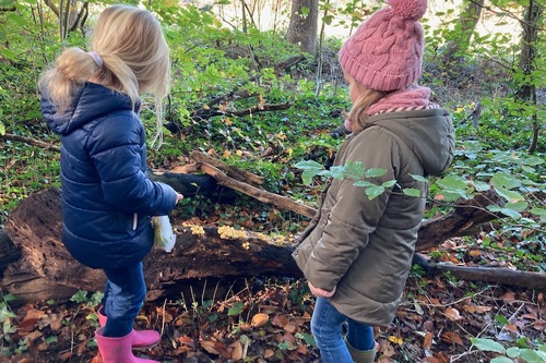 in het bos